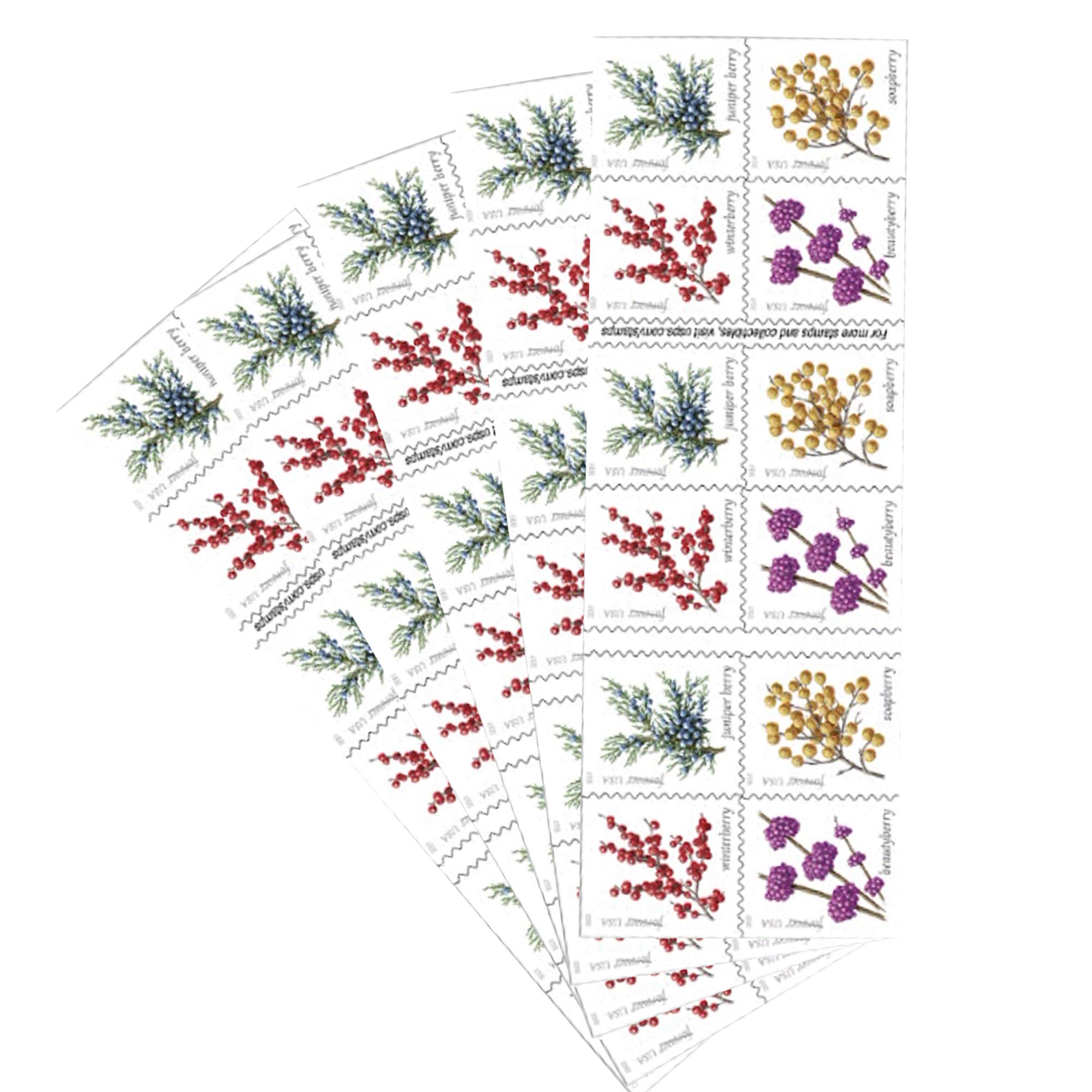 Winter Berries 5 Books of 20 First Class Forever US Postage Stamps (100 Stamps) for Wedding Invitations, Save the Date Cards & Special Occasions