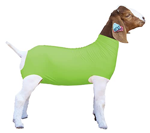 GuHuiKuShow Pro Neon Green Spandex Goat Tube - Medium Size Show Goat Cover for Livestock Competitions & Exhibitions - Perfect for Goat Shows, Fairs, and 4H Events