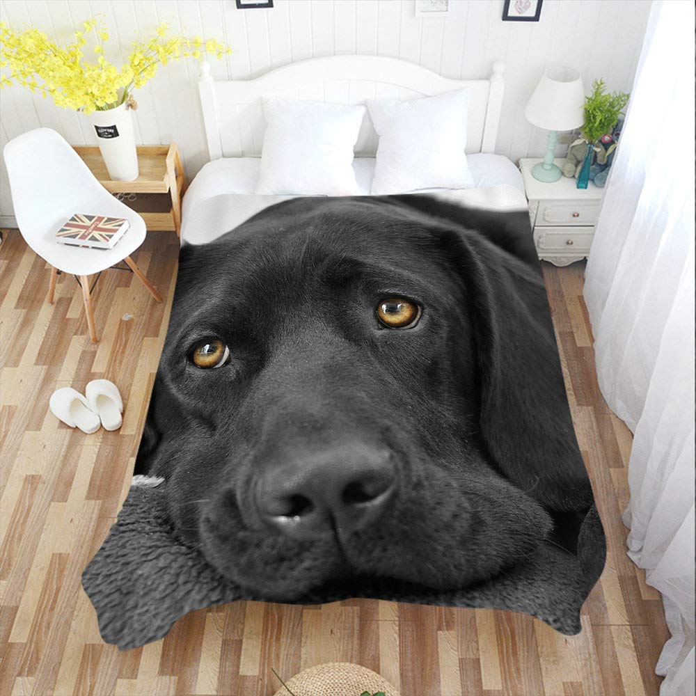 Premium Soft Cozy Throw Blanket - Black Labrador Dog Design - Fuzzy Warm Fleece Blanket for Couch, Bed & Sofa - 50x60 Inches - Perfect for Adults, Teens & Kids - Ideal for Home, Travel, Camping & Gifts - Machine Washable Polyester Fabric