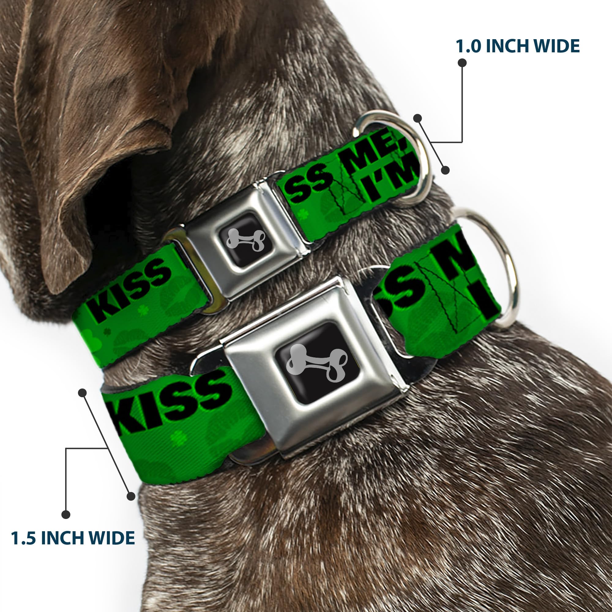 Dog Seatbelt Collar with Buckle - Kiss Me I'm Irish Clover Design, Green & Black, 16-23 Inches, 1.5 Inch Wide - Safe Car Travel for Medium Dogs