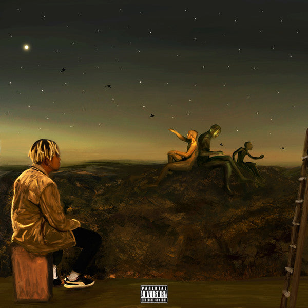 Cordae - From A Bird’s Eye View Vinyl Record | Limited Edition Hip Hop Album | Perfect for Music Collectors & Vinyl Enthusiasts | Great for Home Listening & Gift Giving