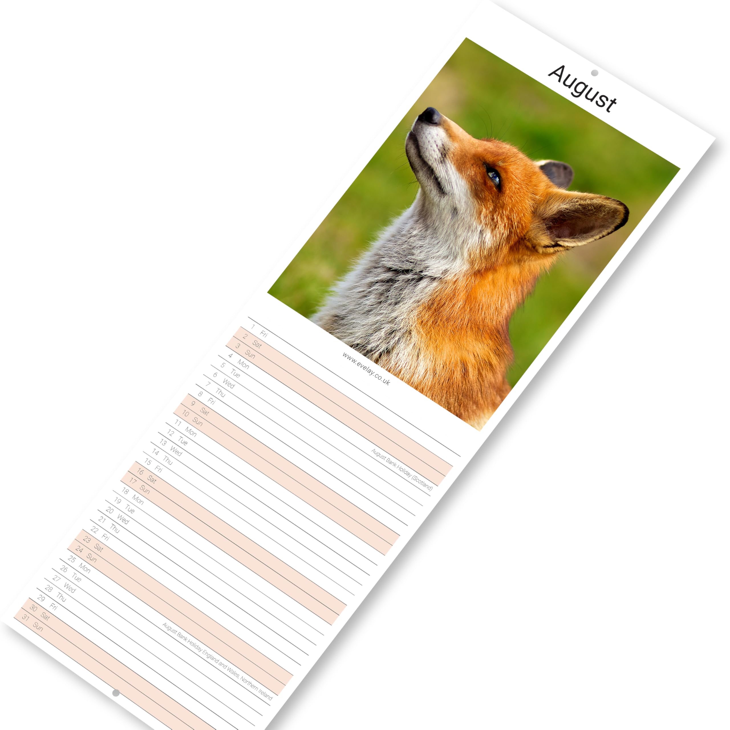 Evelay 2025 British Wildlife Wall Calendar - Slim Monthly Planner with UK Holidays | Family Organizer, Home & Office Decor | Perfect for Gift, Planning & Nature Lovers