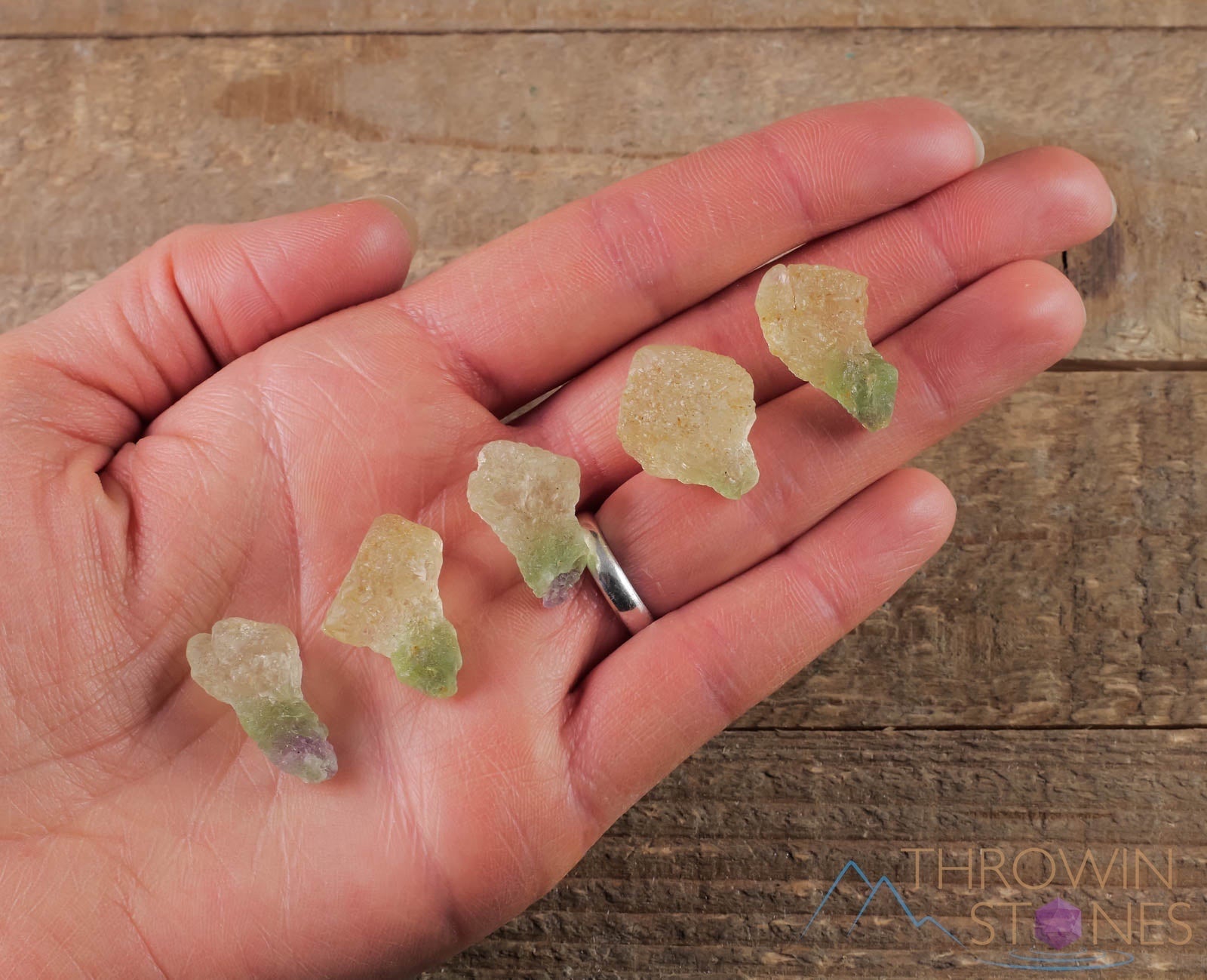 Natural Green Fluorite Raw Crystal Mushroom - Metaphysical Healing Stone, Home Decor, Raw Crystals & Minerals for Meditation (E1441) | Spiritual Healing, Reiki Energy, Feng Shui Decor