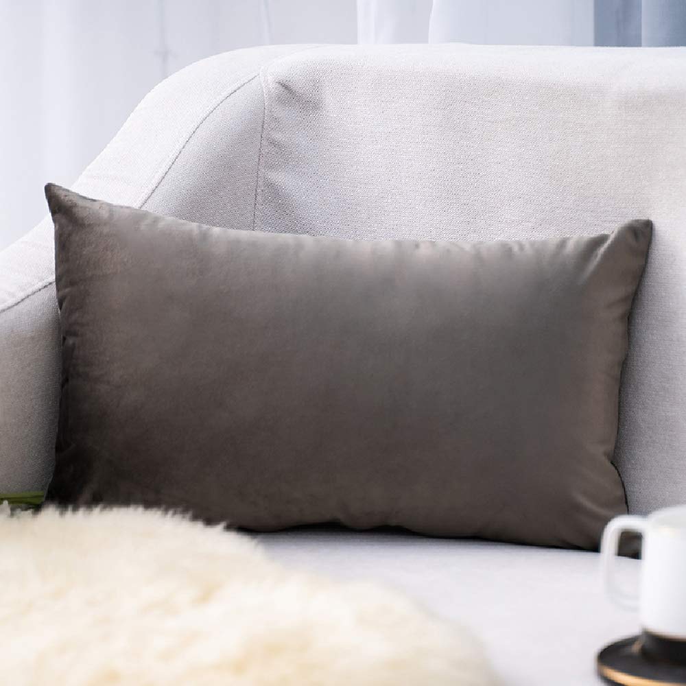 AUSTARK 2PCS Soft Velvet Throw Pillow Covers 12x20 Inches - Grey Decorative Rectangle Cushion Cases for Sofa, Couch, Bed, Home & Outdoor Use - Perfect for Living Room, Patio, and Dorm Decor
