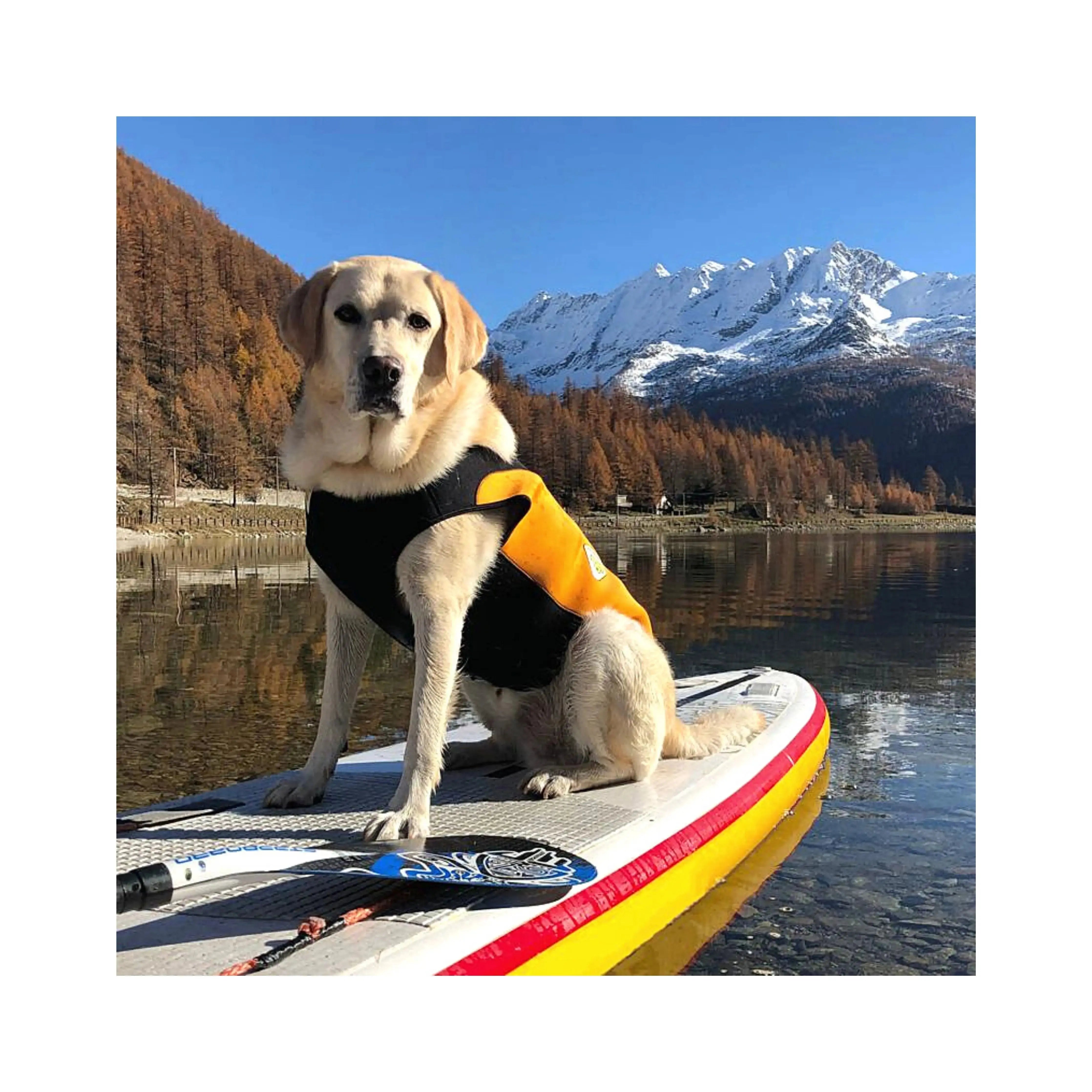 Cressi Dog Wetsuit for Large Breeds - Waterproof & Durable Neoprene Suit for Swimming, Surfing & Outdoor Water Activities