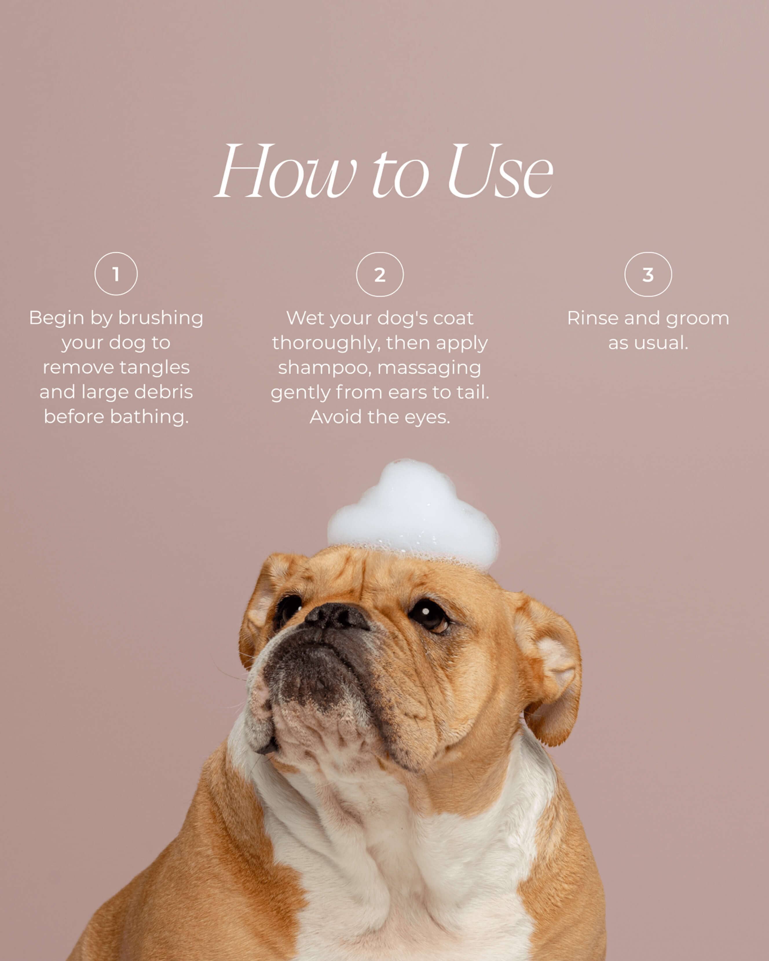 Puppy Love Dog Shampoo - Gentle Puppy Shampoo for Sensitive Skin | Hypoallergenic & Tear-Free Formula | Perfect for Bath Time & Grooming