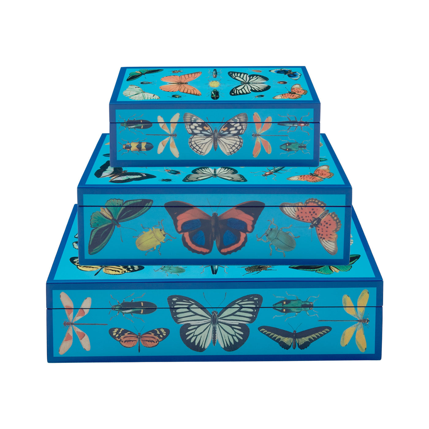 Premium Botanist Lacquer Box Set - Handcrafted Wooden Storage Box with Floral Design - Perfect for Jewelry, Tea, and Home Decor Gifts