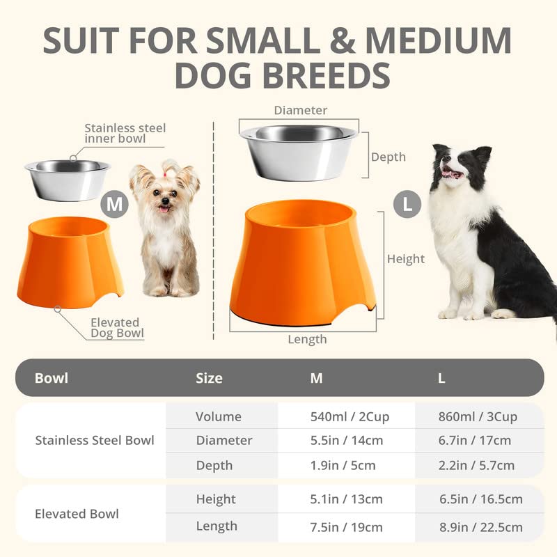 Yoken Elevated Dog Bowls - Non-Slip Stainless Steel Raised Pet Food Bowls for Small & Medium Dogs - Helps Prevent Neck Strain & Vertebrae Issues - Perfect for Home, Kitchen or Outdoor Use
