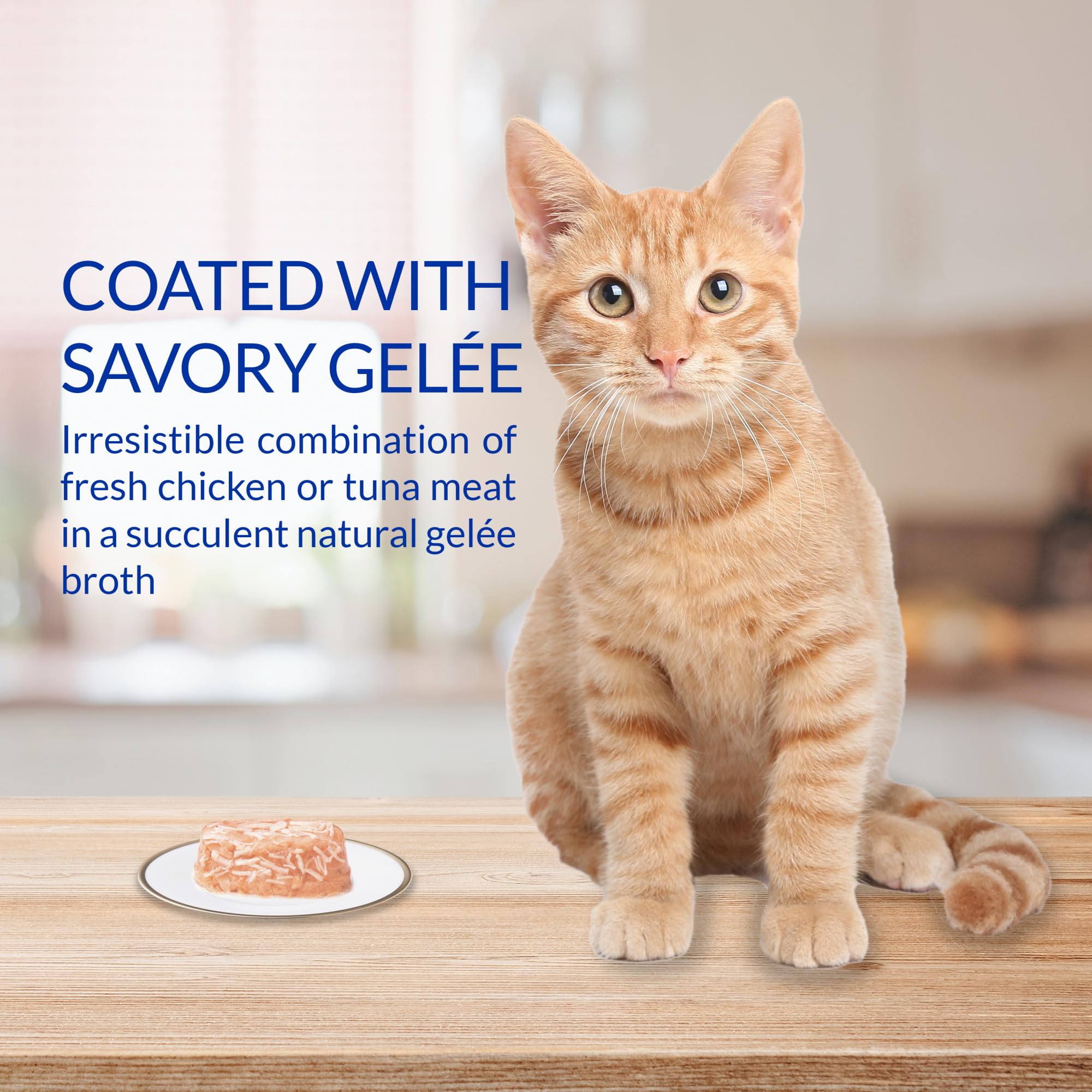 INABA Twins for Cats - Shredded Chicken & Broth Gelée with Green Tea Extract | 1.23oz per Serving (12 Servings) | Chicken & Cheese Recipe | Perfect Cat Food Topper for Picky Eaters & Senior Cats