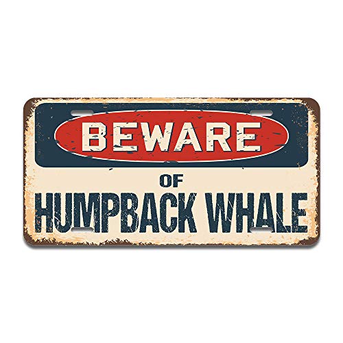 Beware of Humpback Whale
