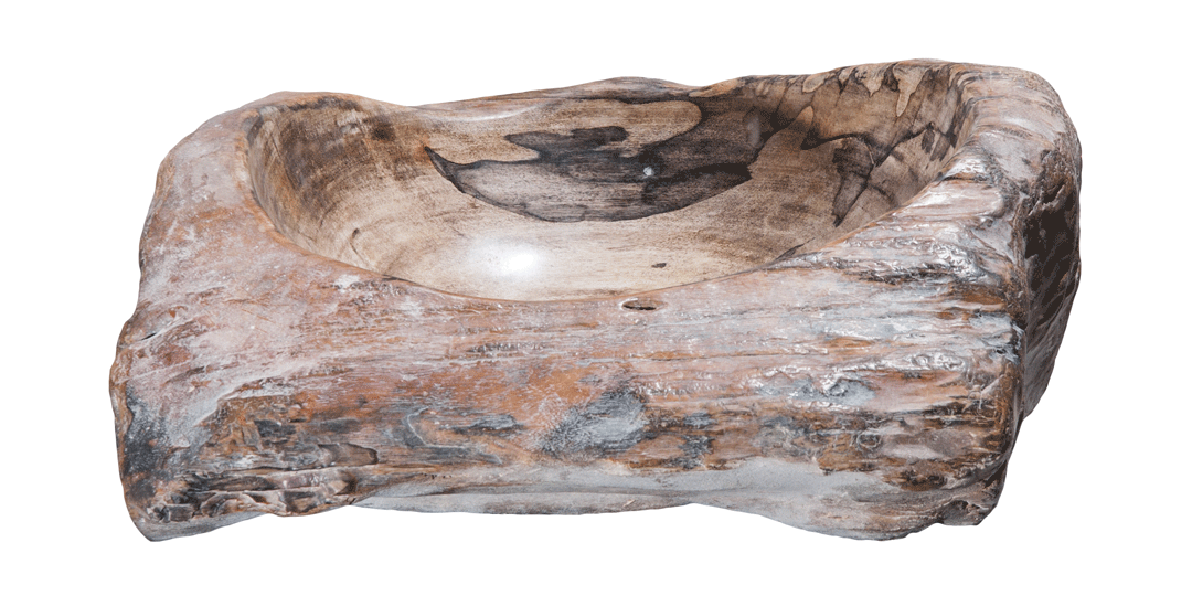 Natural Petrified Wood Bathroom Sink - 17