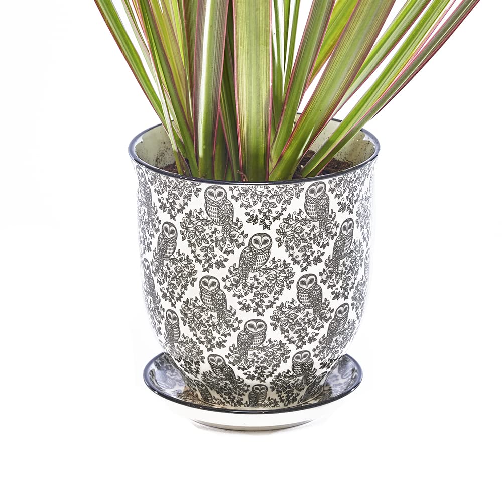 CHIVE 'Liberte' Ceramic Succulent Pots - 4.25