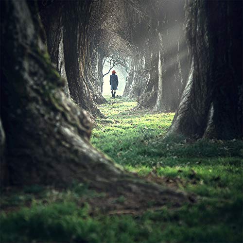 Lost Walk