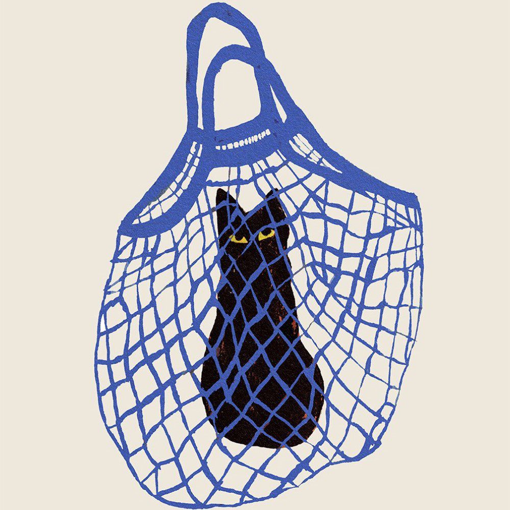 The Poster Club Chloe Purpero Johnson - 'The Cat’s in the Bag' A5 Art Print - Perfect for Home Decor, Office Wall Art & Gift Ideas