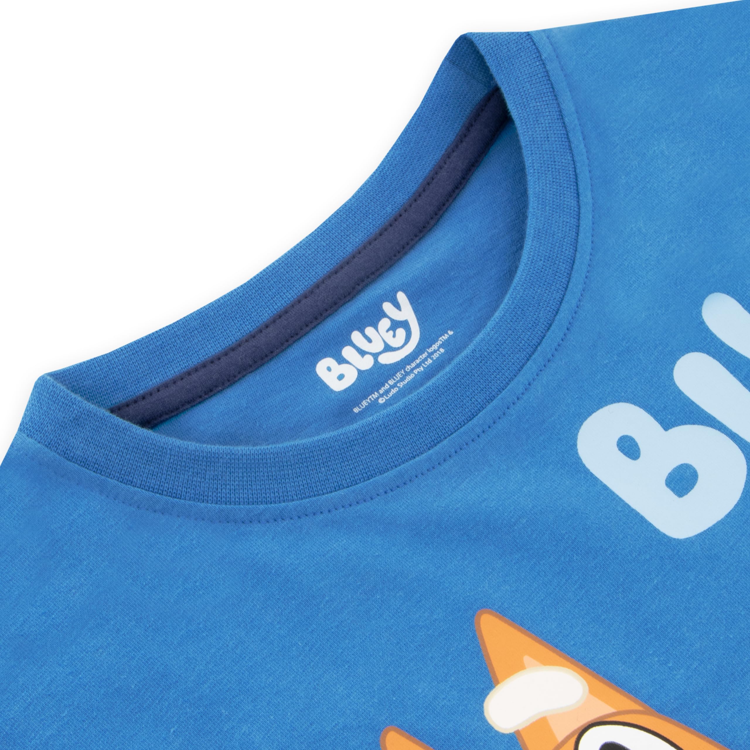 Bluey Boys T-Shirt - Short Sleeve Summer Cartoon Character Tee with Bingo Design | Sizes 18 Months to 5 Years | Perfect for Playdates, Birthday Parties & Family Outings