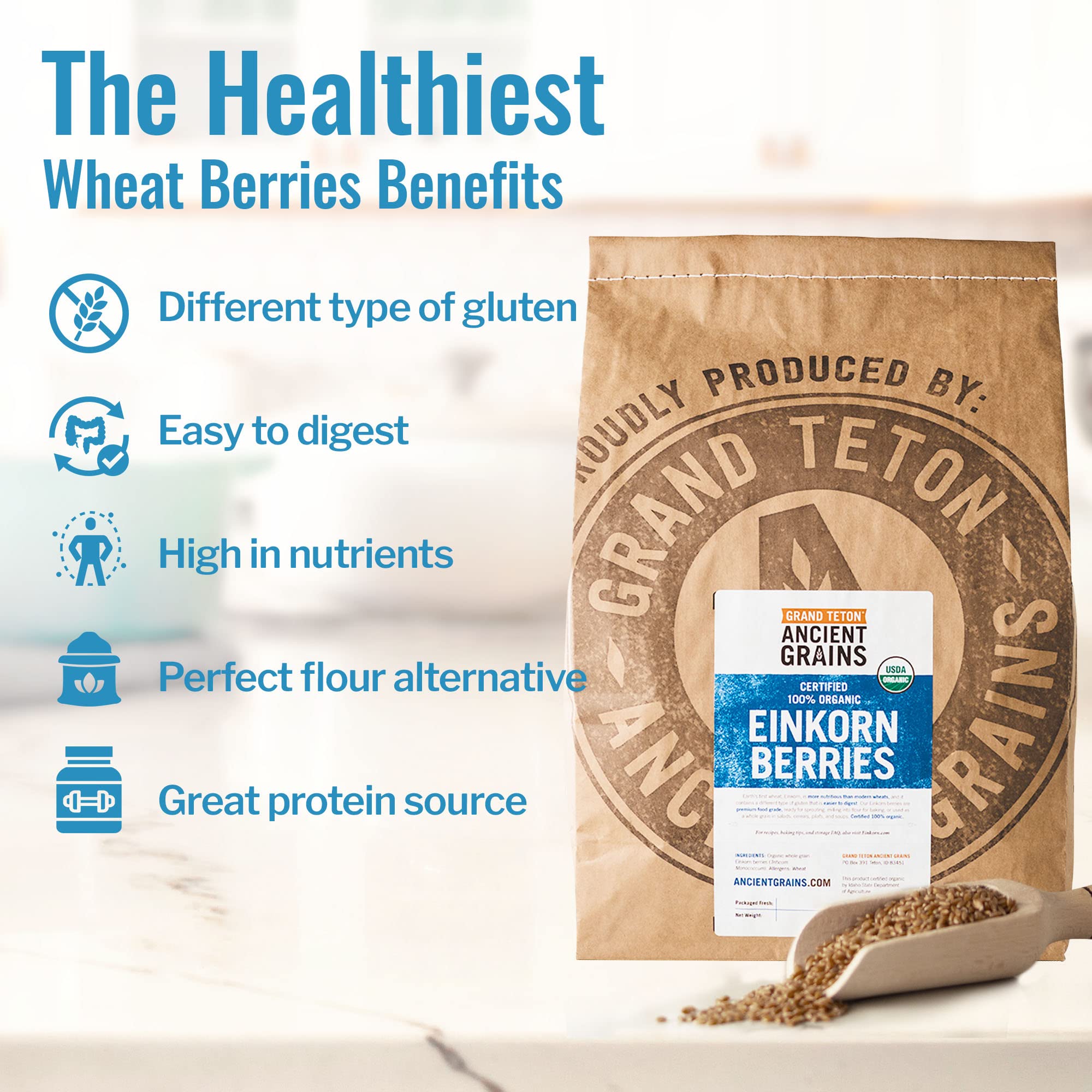 100% Organic Einkorn Berries & Farro Piccolo - Premium Ancient Grains for Milling Flour, Baking Bread, Cooking Pilafs & Soups | 25 lbs Bulk | Perfect for Healthy Homemade Recipes & Artisan Baking