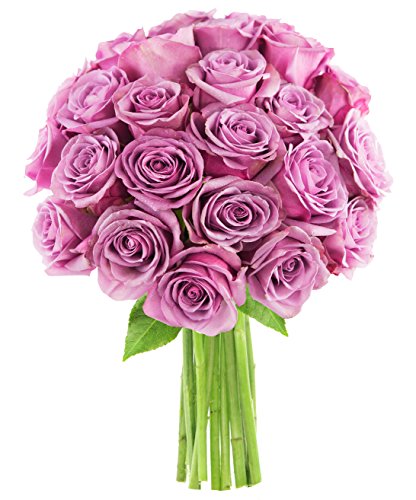 Purple Rose