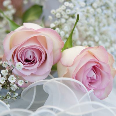 20 Pack Romantic Floral Printed Lunch Napkins for Wedding, Party, and Dinner Table Decor - Elegant Disposable Paper Napkins for Special Occasions