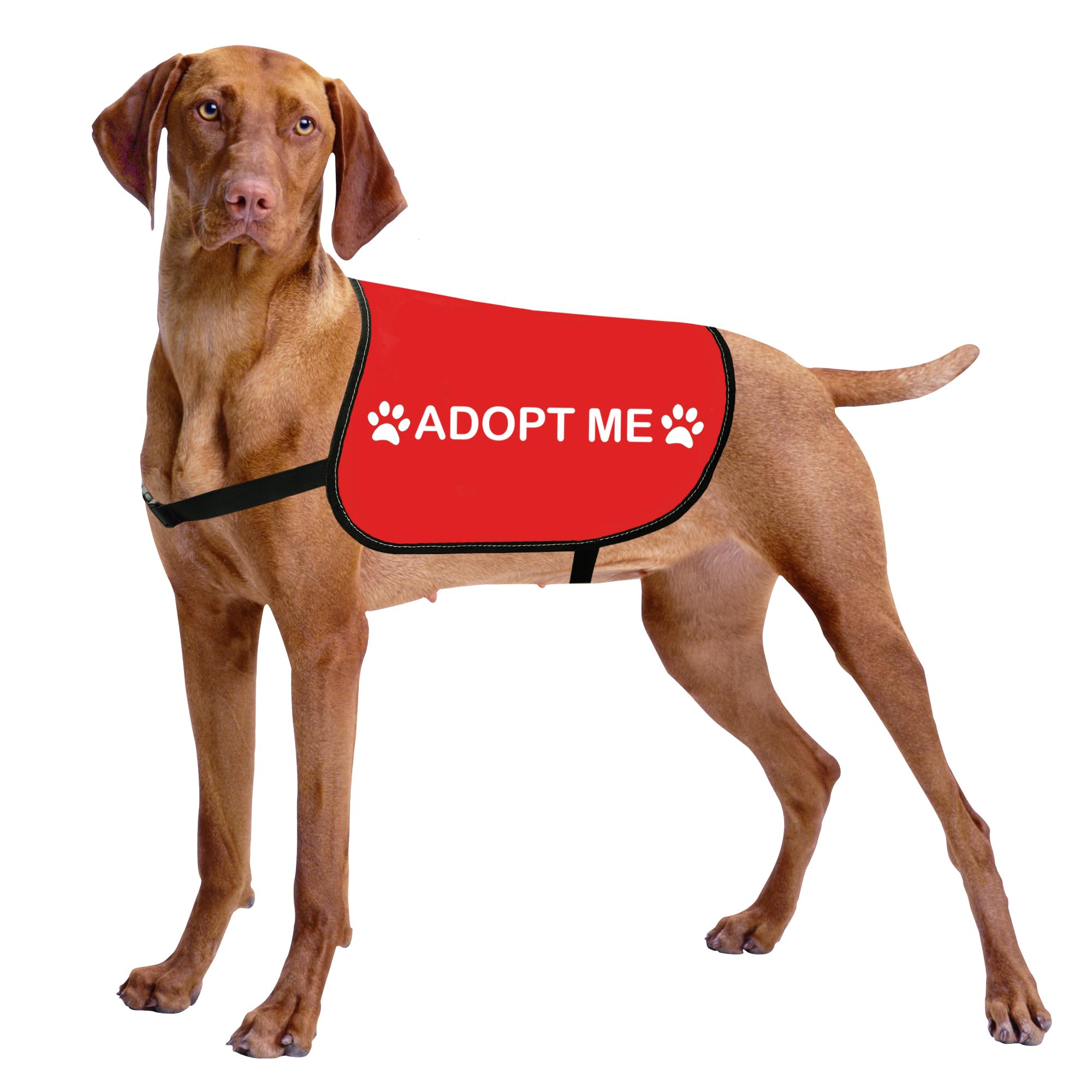 HOLLP Rescue Dog Jacket Vest - ADOPT ME Service Dog Apparel for Working Dogs - Reflective Safety Vest for Pet Adoption Events & Training (Medium Size) - Perfect for Outdoor Activities & Public Service