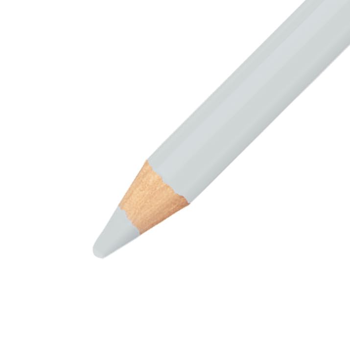 STABILO CarbOthello Chalk Pastel Pencils - Set of 12 Cold Grey Artist Drawing Pencils for Sketching, Shading & Blending - Perfect for Professional Artists & Beginners