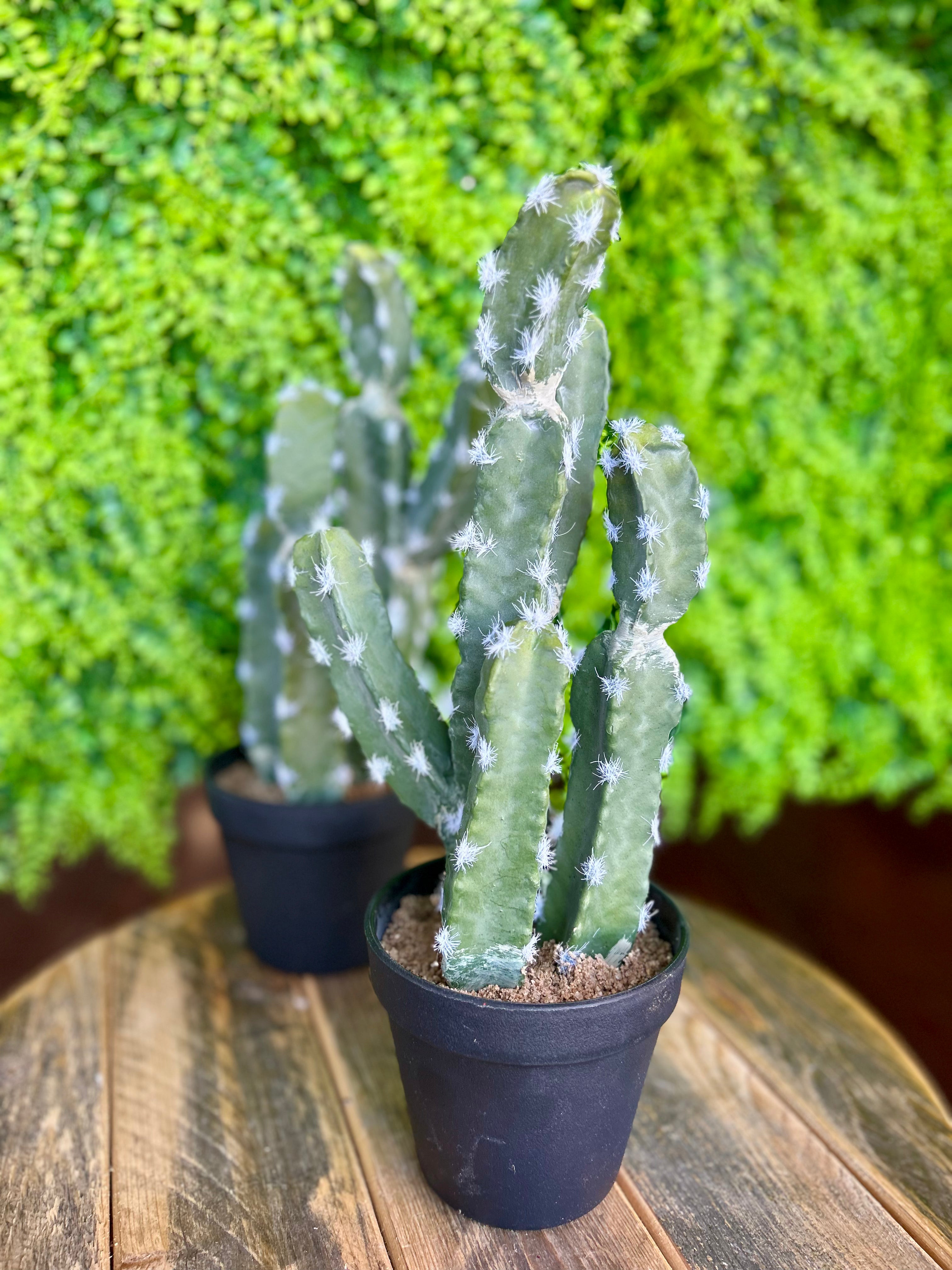 5 Inch Silk Potted Cactus - Artificial Succulent Plant for Home & Office Decor - Perfect for Desk, Shelf, and Tabletop Display