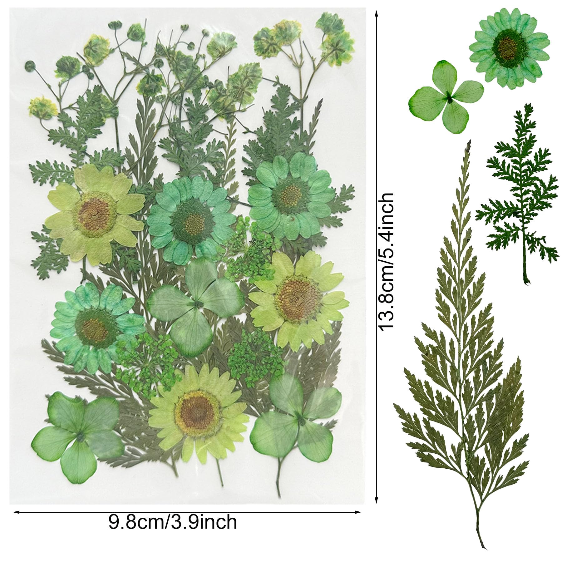 Woohome 126PCS Real Pressed Flowers Kit - Natural Dried Pressed Flowers for Resin Art, Nail Art, Scrapbooking, Candle & Jewelry Making - Premium Resin Craft Supplies for DIY Projects & Home Decor