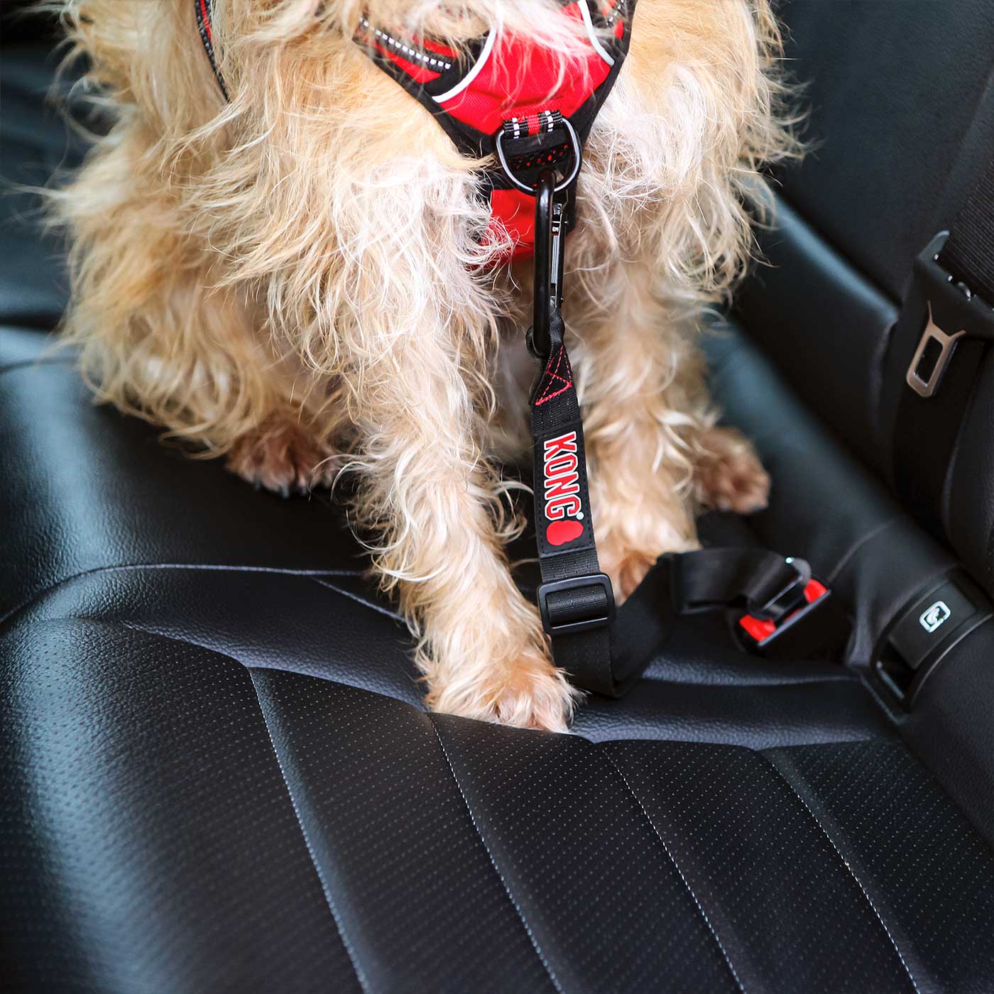 Durable KONG Seat Belt Tether for Dogs - Safe Car Travel Restraint for Small, Medium & Large Breeds | Perfect for Road Trips, Vet Visits & Daily Commutes