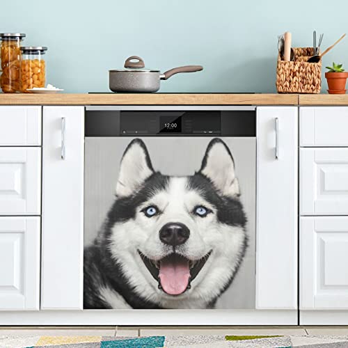 Closeup Portrait of Husky Dog