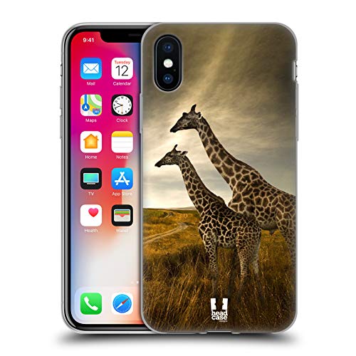 Giraffe Couple And Landscape