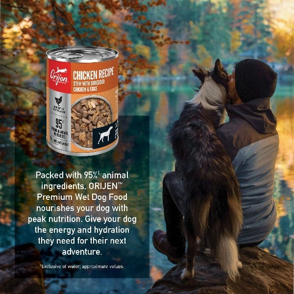 Orijen Grain-Free Chicken Recipe Canned Dog Food - High Protein Wet Food for Adult Dogs - Perfect for Mealtime & Training Rewards