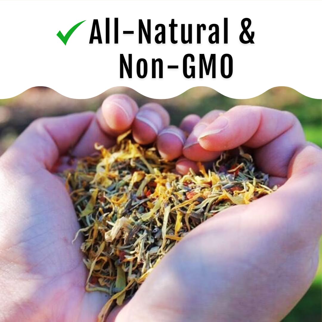 Natural Herb Supplement for Backyard Chickens - Organic Poultry Feed Botanical Mix, Plant-Based Chicken Treats for Daily Wellness, Feather Quality & Egg Production | USA Made (5 LB) | Perfect for Coop Snacks, Chicken Health Boost & Organic Egg Laying Support