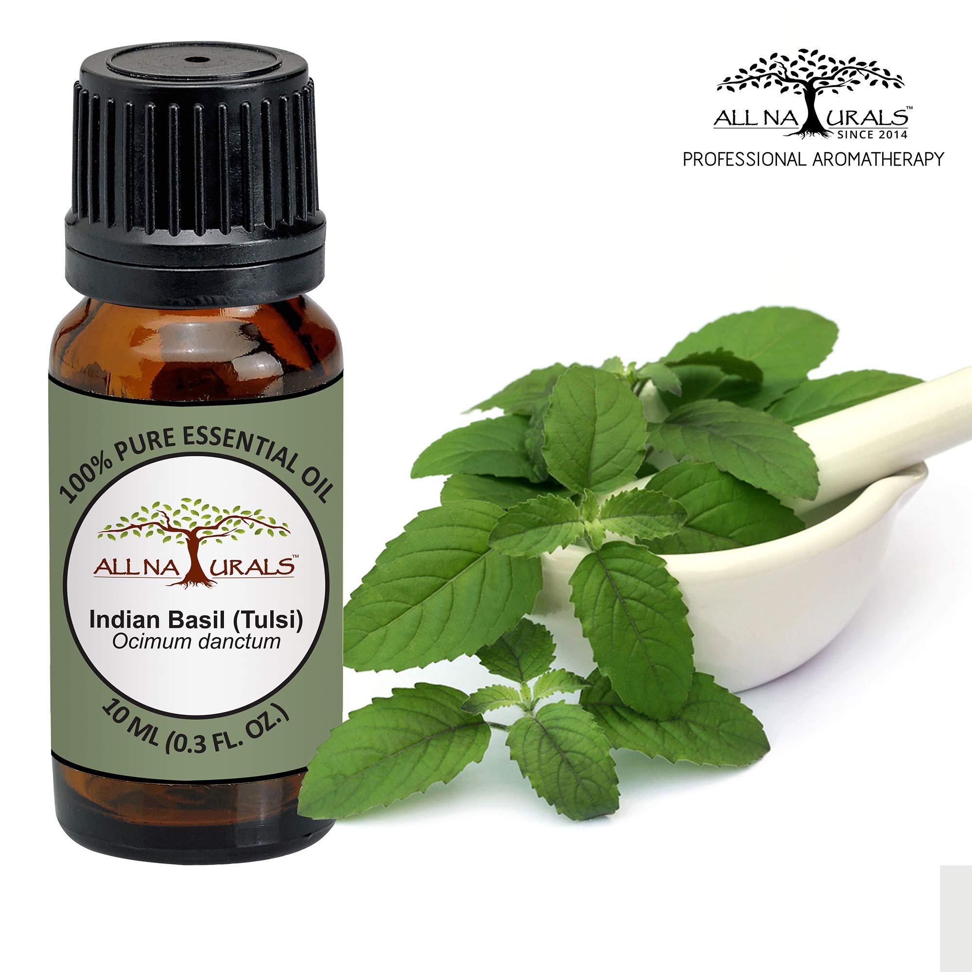 Pure Tulsi Essential Oil (15ml) - 100% Natural Holy Basil Oil for Aromatherapy, Meditation & Focus | Home Fragrance, Skin Care, Disinfection & Insect Repellent | USDA Certified Organic for Spiritual Wellness & Holistic Healing