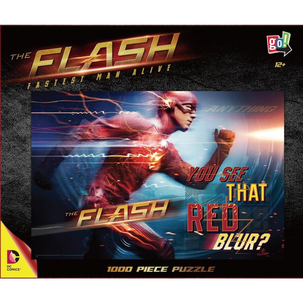 Go Games Flash 1000 Piece Puzzle - Challenging Jigsaw Puzzle for Adults & Teens - Perfect for Family Game Night, Stress Relief & Home Decor