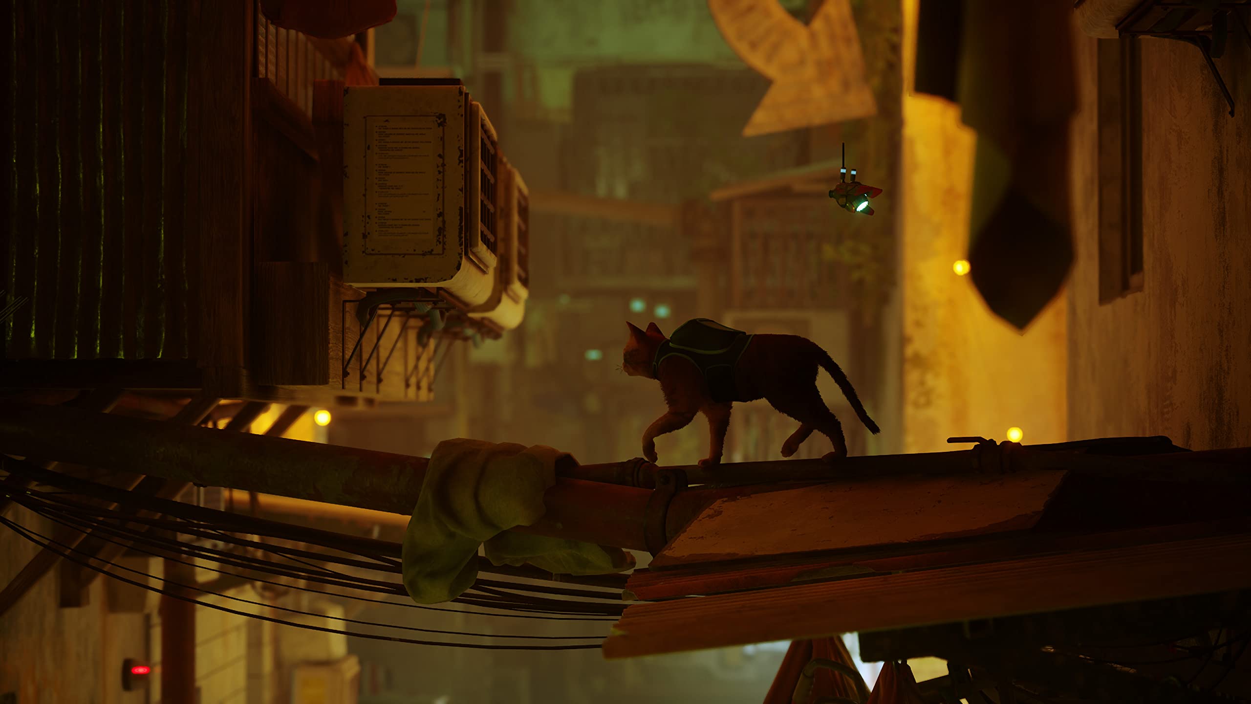 Stray - PlayStation 5 Game | Adventure Cat Simulator | Explore Cybercity & Solve Puzzles | Perfect for Cat Lovers & Sci-Fi Fans