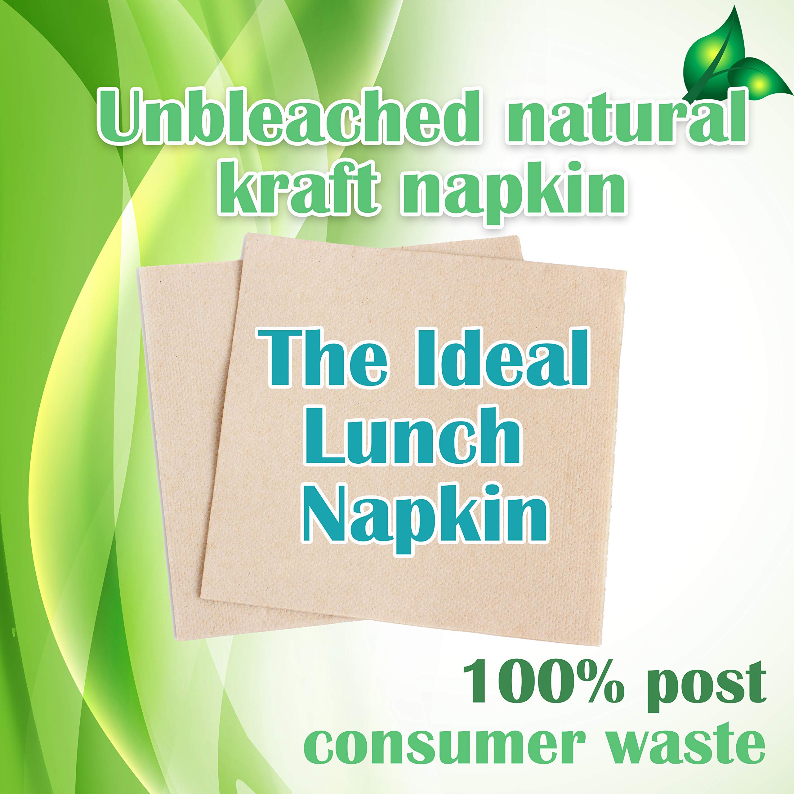Eco-Friendly Recycled Post Consumer Compostable Biodegradable Napkins - 13 x 13 Inches, 250 Count | Sustainable Lunch, Picnic, Party & Everyday Use Paper Napkins