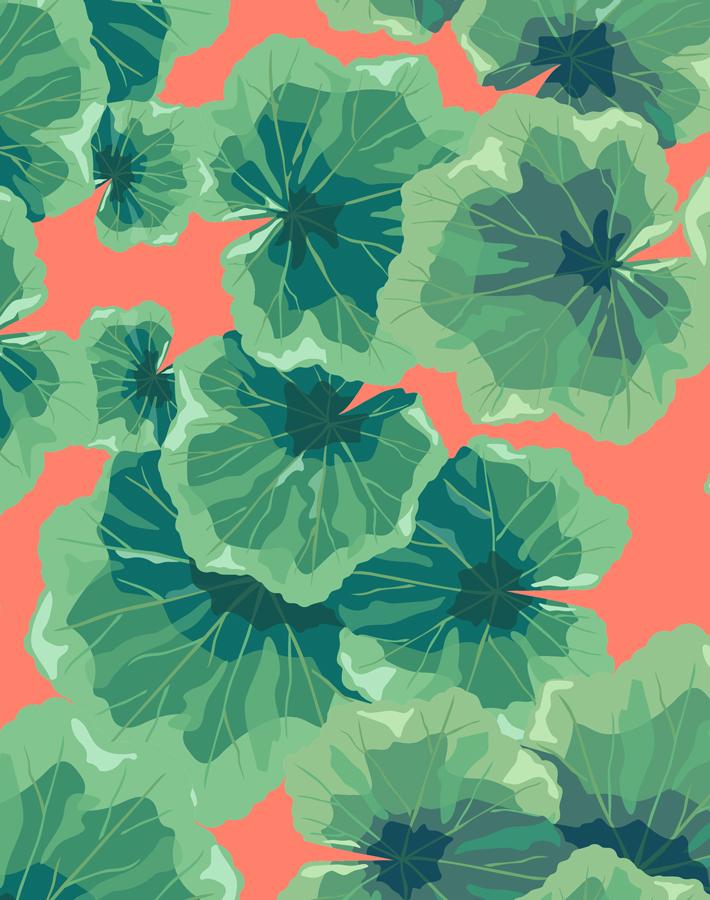 Nathan Turner Geranium Leaves Wallpaper - Watermelon Pattern for Living Room & Bedroom Decor