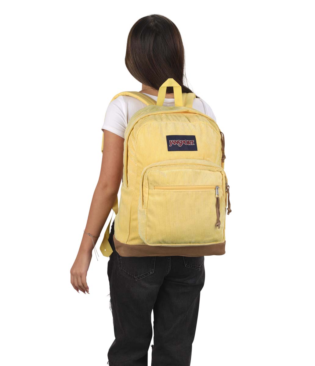 JanSport Right Pack Expressions Backpack - Sun Shimmer Corduroy Fabric for School, College & Travel | Durable Laptop Bag with Padded Straps for Comfort