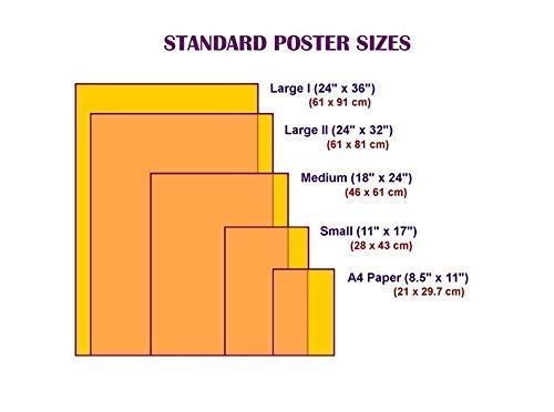 Dirty Heads Band Poster - Official Merchandise - Album Cover Wall Art for Room Decor & Music Lovers - Perfect for Bedroom, Dorm, Studio Aesthetic