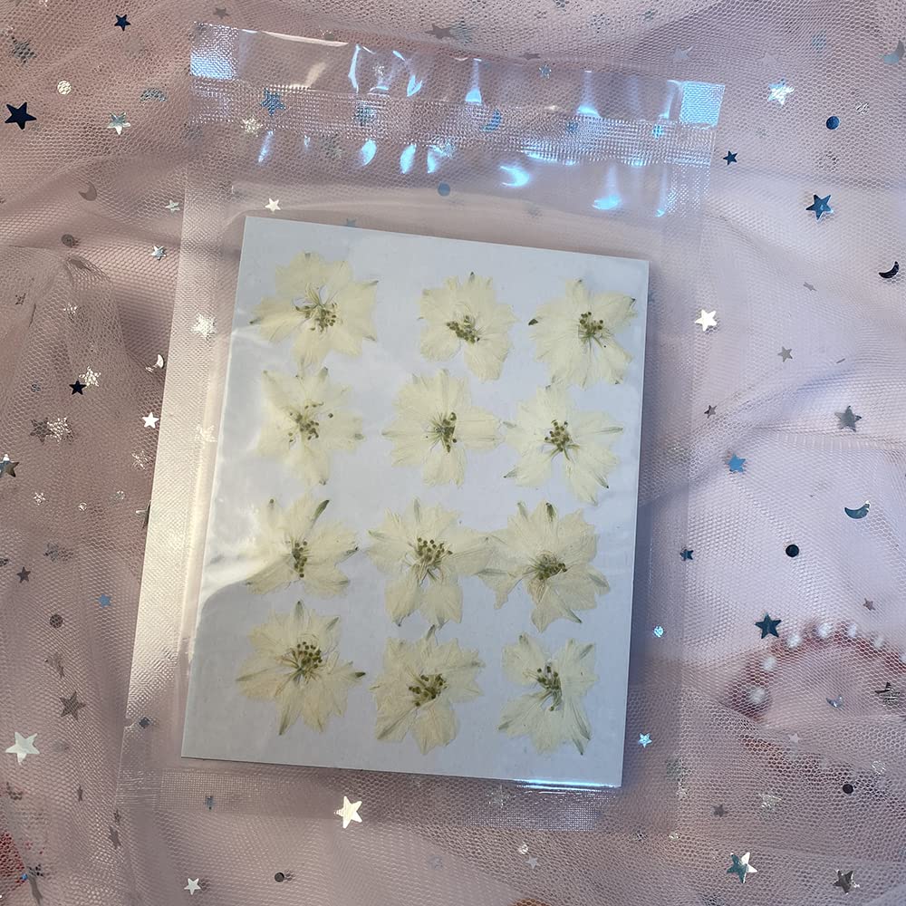 YUNZHI 12pcs Natural White DIY Pressed Delphinium Flowers for Scrapbooking, Candle Making, Resin Jewelry & Home Decor - Perfect for Wedding Invitations, Gift Wrapping and Craft Projects