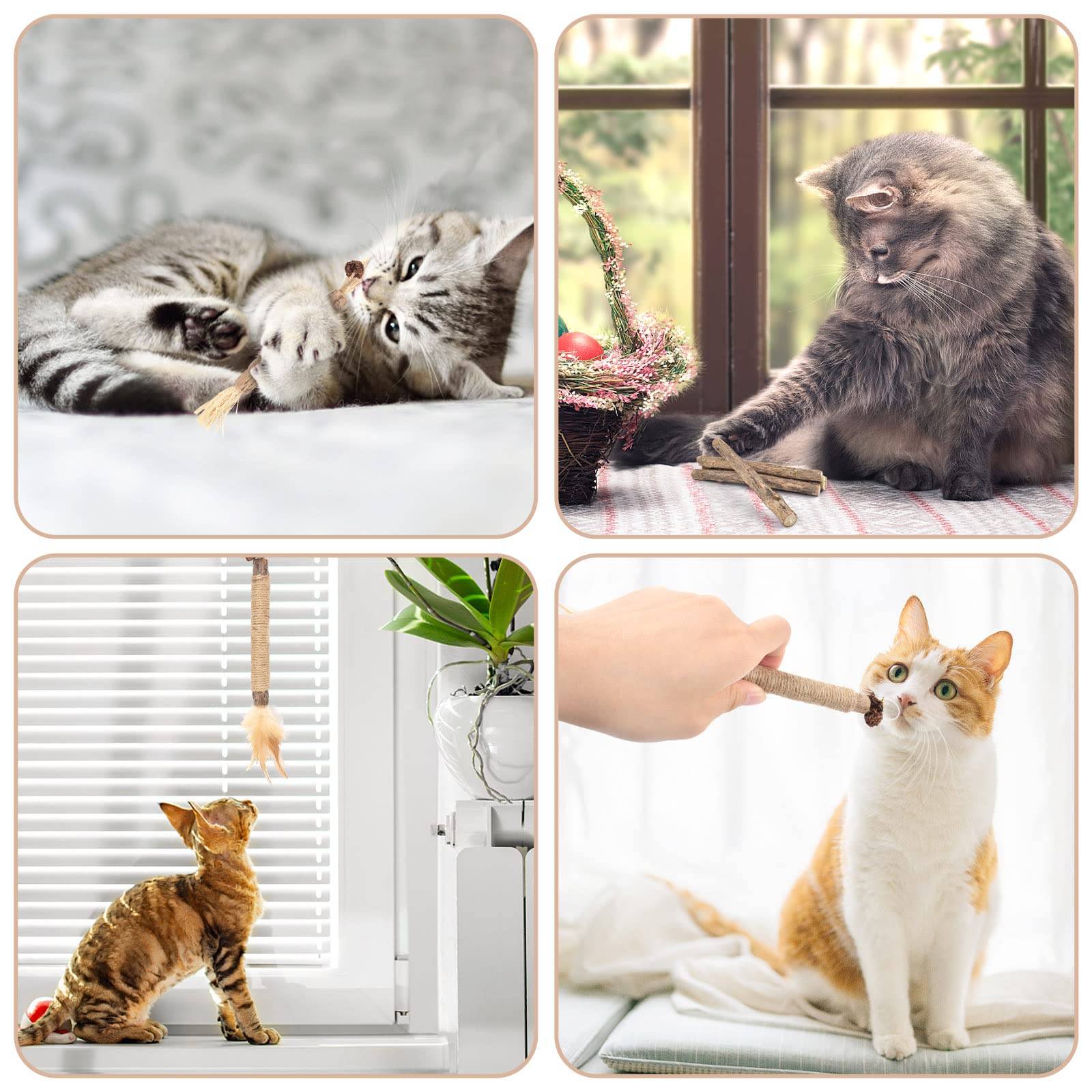10 PCS Silvervine Cat Chew Sticks with Catnip - Natural Dental Care Toys for Indoor Kittens, Teeth Grinding & Interactive Play - Perfect for Aggressive Chewers & Feather Toy Lovers (Great for Stress Relief & Playtime)