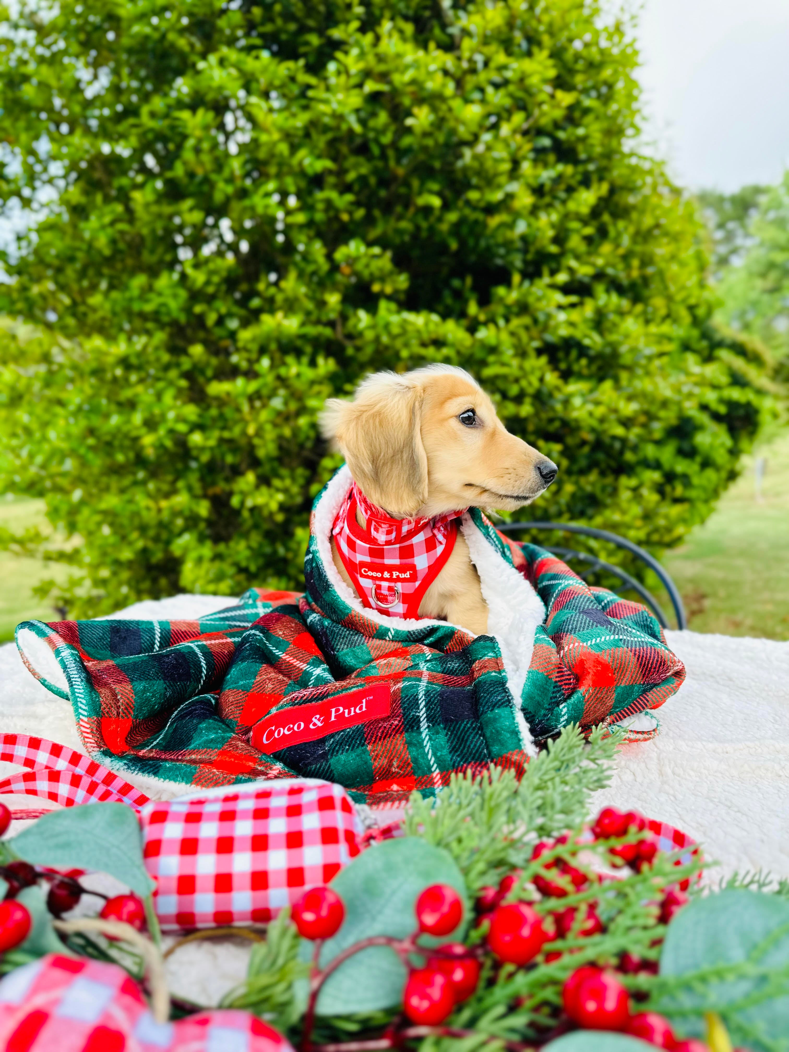 Premium Highland Hound Luxury Blanket - Ultra Soft & Warm Fleece Throw for Dogs - Perfect for Beds, Couches & Travel Use