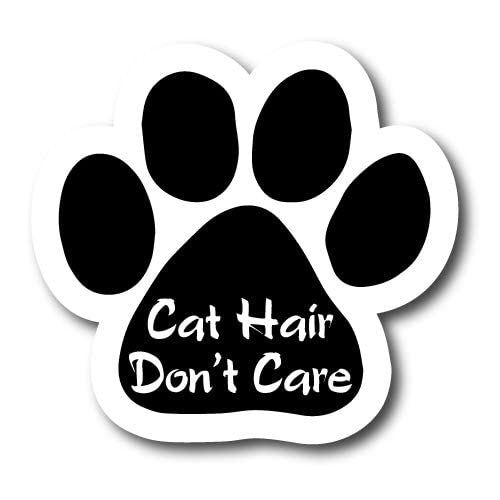 Cat Hair