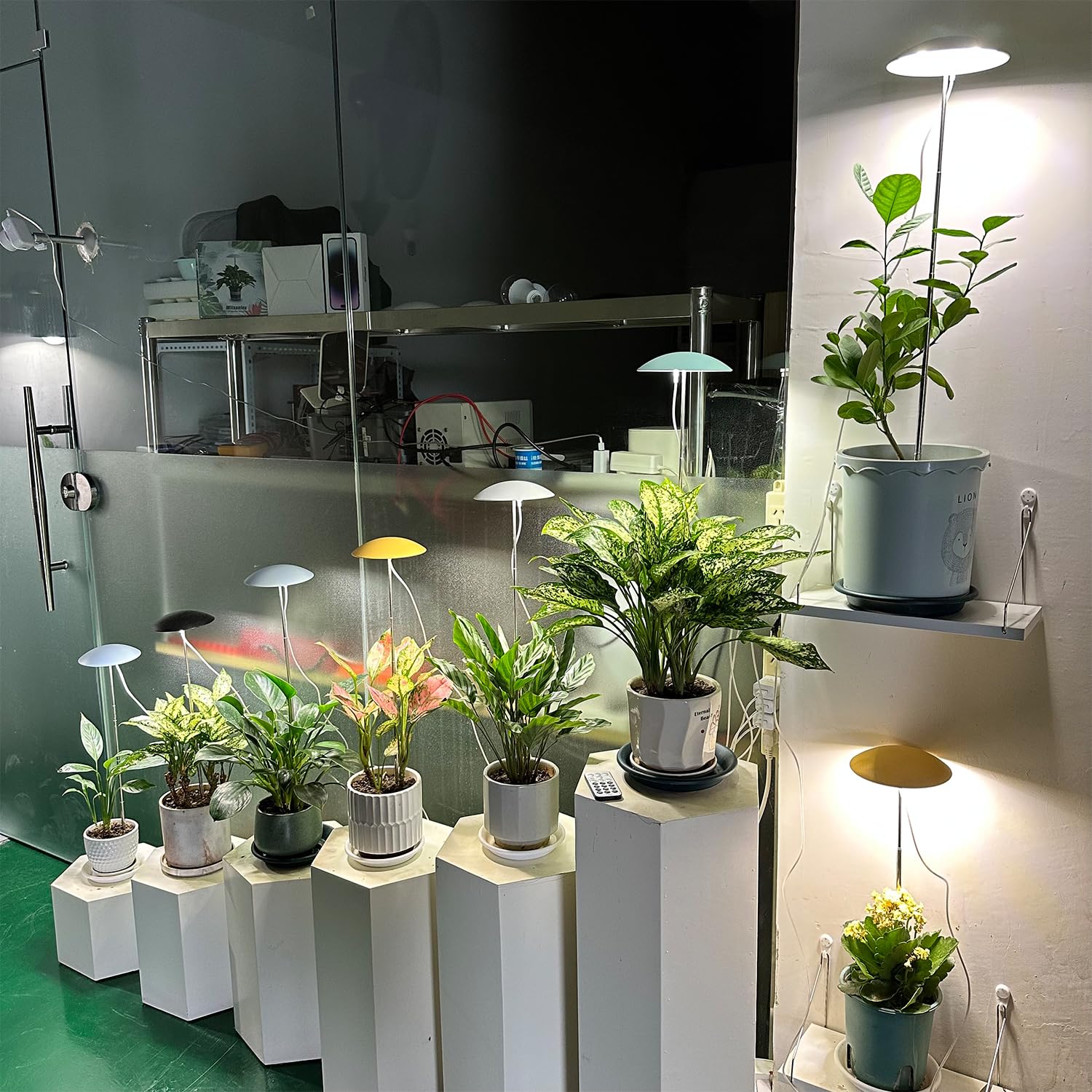 2 Pack LED Grow Lights for Indoor Plants - Full Spectrum USB Plant Light with Remote, Height Adjustable & Auto On/Off Timer - Perfect for Home Decor, Hydroponics, Seedlings & Indoor Gardening
