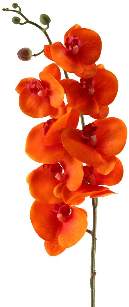D & W Silks Premium Faux Flowers and Plants - Realistic Artificial Greenery for Home Decor, Wedding Centerpieces, Office & Indoor Decorations