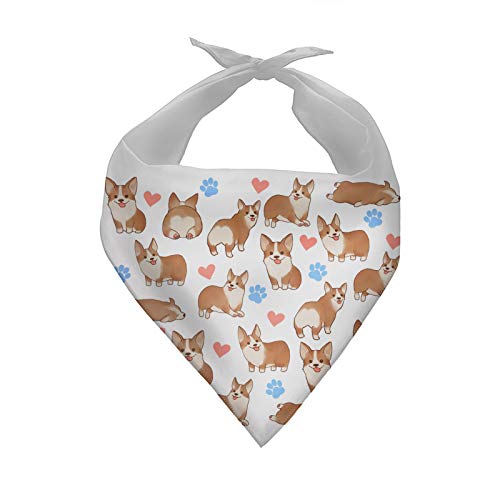 corgi