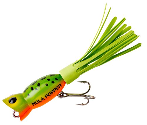 Frog Yellow Belly