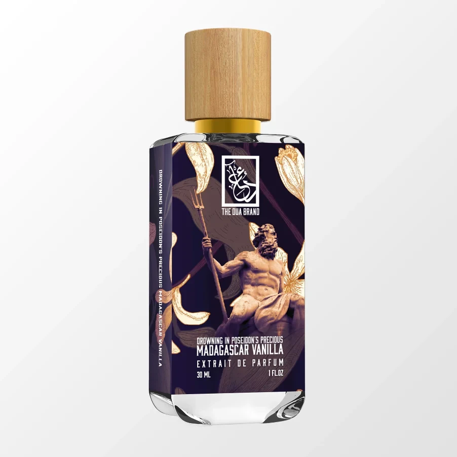Premium Madagascar Vanilla Beans - Organic & Gourmet for Baking, Desserts & Coffee - Rich Aroma & Flavor for Home Chefs & Bakers