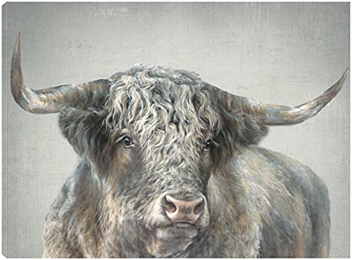 Grand Kyloe Bull