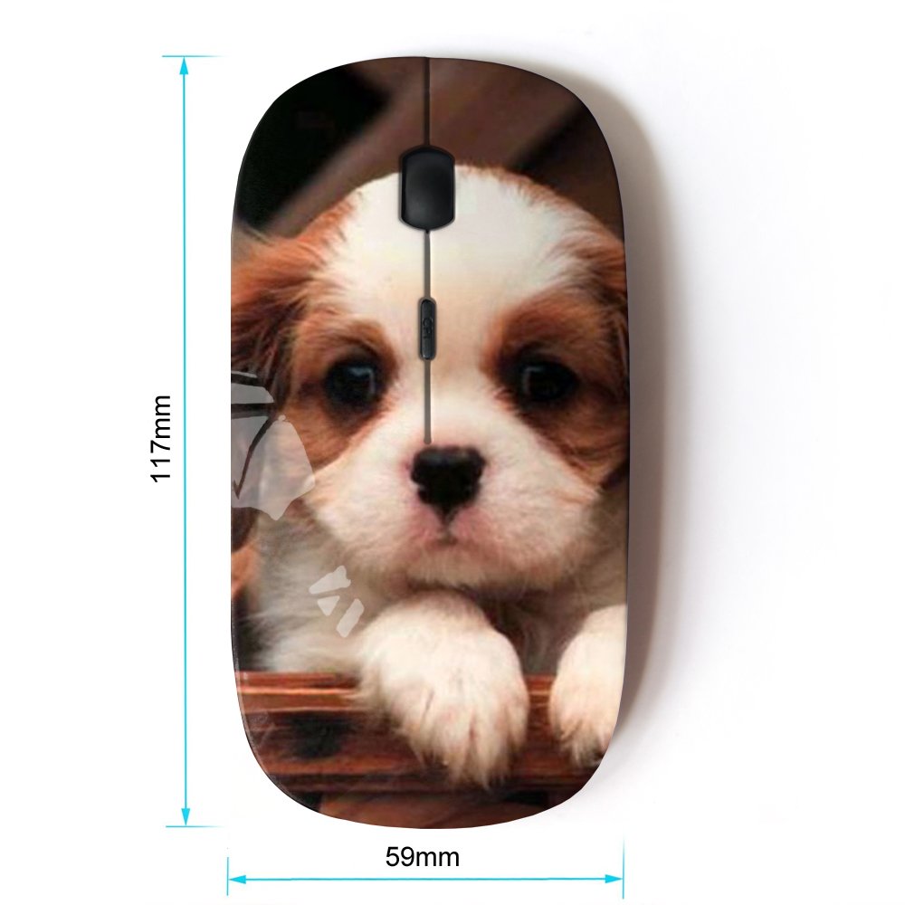 2.4G Wireless Optical Mouse - Cute Cavalier King Charles Spaniel Puppy Design for Laptop, PC, Mac - Perfect for Office, Home & Travel Use