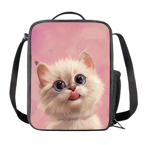 Cartoon Cat